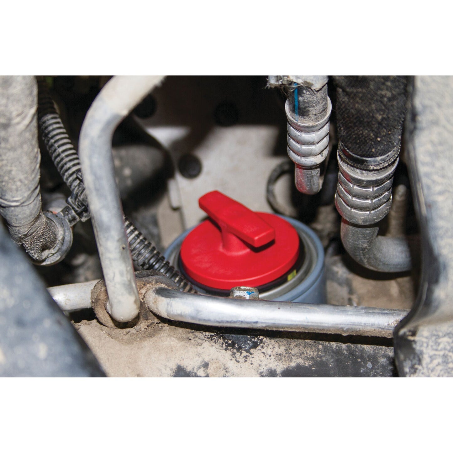 Bouchon de filtre à huile