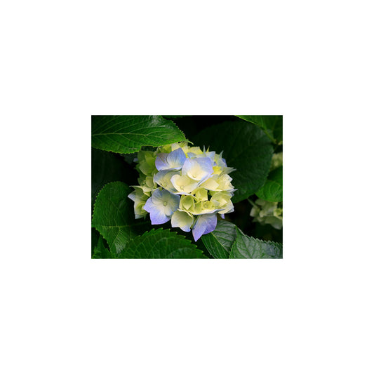 5-PC. Jeu de clés mixtes métriques - 12-PT.